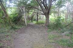 Gardiner Pond Shell Midden