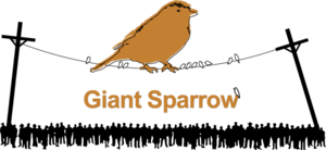 a large orange sparrow perched atop a telephone line