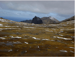 A large rock in the distance is surrounded by a dampened and partially snowy field.