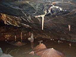 Dark brown cave interior with water. A white vertically hanging stalagmite shown above a brown mound on the cave floor