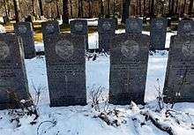 Colour photo of two rows of dark grey gravestones