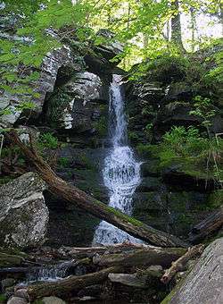 A small waterfall between large grayish rock outcrops in a forest with a large downed tree trunk near the base