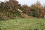 Grass field bounded by ironstone quarry face with bushes on top.