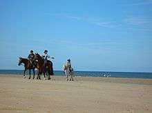 horse and rider on a sandy beach
