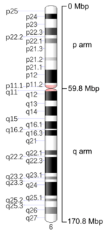 Map of Chromosome 6