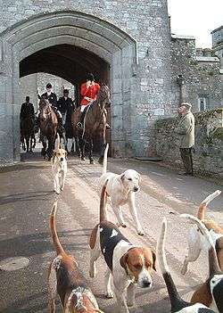 A hunt master and hounds leave Powderham Castle