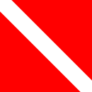  A drawing of a red flag with a white diagonal band from the top of the hoist to the bottom of the fly.