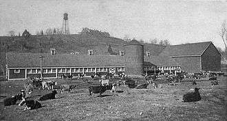 Cattle, a large barn, and silo; a large hotel on a hill in the background