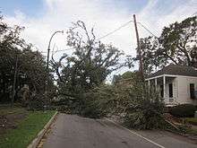 Image of a fallen tree fully blocking a grey road. To the left is a heavily-treed area and on the right is a white house with a porch.