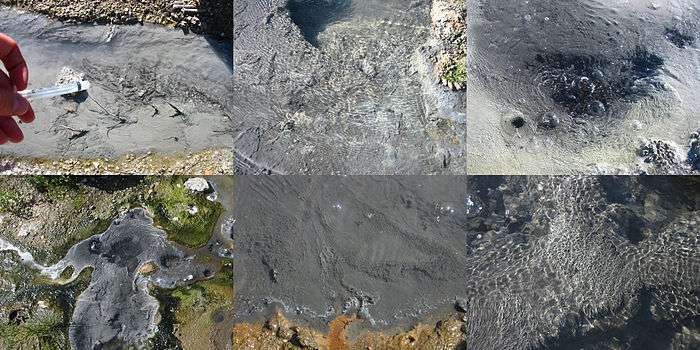 Each of these six hot springs (from top left, clockwise: Uzon4, Uzon7, Uzon8, Uzon9, Mut11, Mut13) in Kamchatka were found to contain Korarchaeota.