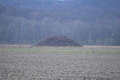 Karshner Mound