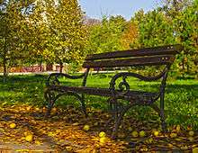 Kastel park in autumn