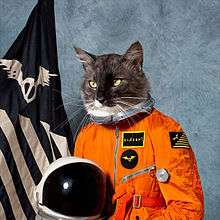 A cat is portrayed in a spacesuit in front of a flag.