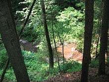 View down a steep slope to a small stream flowing over reddish rocks. There are several trees and bushes and the dappled sunlight covers the scene