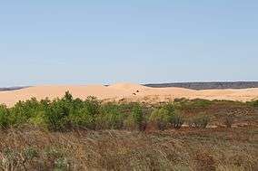 A photo of sand dunes in Little Sahara State Park