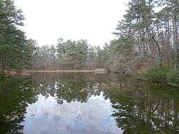 Small lake surrounded by old growth forest in winter