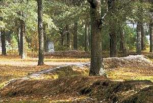 A wooded scene, with tall trees and a leafy carpet.  A mounded earthworks about 2 feet (0.5 m) high snakes through the scene.