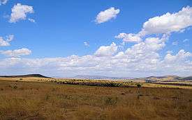 Maasai Mara scenery