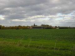 A green picture.  Grassy field margins in the immediate foreground, and behind a vigorously-leafed field of beet, a slightly darker green.  On the horizon is  a cluster of modern barns, and a modern farmhouse with an older building on the left.  Above them all is a sky mostly dark with cumulus clouds, with the palest patch of blue above our heads.