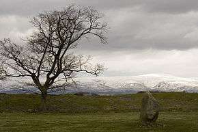 Photograph of standing stone at Mayburgh Henge.