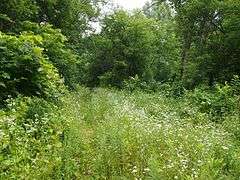 Mendota to Wabasha Military Road: Cannon River Section