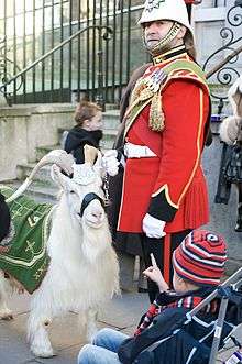 White goat wearing metal headdress and green coat, stands beside soldier in red ceremonial uniform, and a white helmet; a child in a push-chair is pointing at the goat