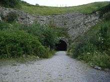 A partly overgrown concrete entrance leads into a dark tunnel under a grass—covered hillside, with a gravel path in the foreground
