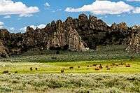 Animals grazing under the blue sky