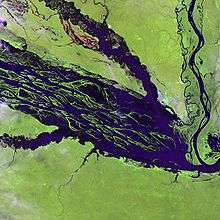Satellite image of a wide river and smaller meandering tributaries running through a light green landscape.