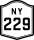 NY 229