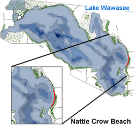 Natti Crow Beach Lake Wawasee.png