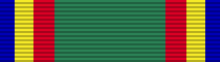 A green ribbon with blue, yellow and red stripes at both ends