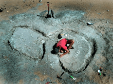 Picture of an excavation site of Nigersaurus