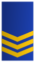 three gold chevrons on a blue background