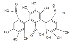 Chemical structure of nonahydroxytriphenic acid.