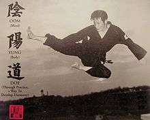 "Kyong Gong Sul Bope" (경공술법 flying side kick) is an achievement claimed by John C. Kim. Here Kim purportedly leaps from the equivalent of an 8-story building.[]