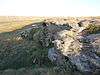 Old Woman's Buffalo Jump