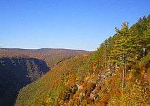 A deep gorge lies in shadows at left. The gorge and its surroundings are covered by trees, most with red, orange and yellow leaves. Some green confiers and rocky ledges are in the foreground at right.
