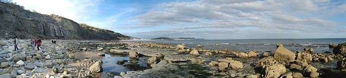 People searching for fossils in Lyme Regis at the fossil festival