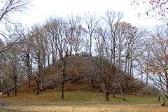 Sauls' Mound (Mound 9) at Pinson Mounds State Archaeological Park