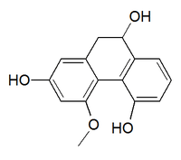 Chemical structure of plicatol C