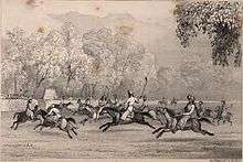Drawing of polo ponies galloping