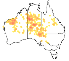 Map of Australia showing the distribution of Pseudomys desertor across various states.
