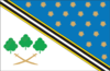 Flag of Piatykhatky Raion
