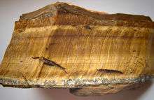 "Photograph of a chunk of rock containing horizontal bands which contain golden fibers which are positioned vertically within the bands"