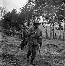 Australian soldiers move alongside a tree line in single file