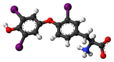 Ball-and-stick model of the reverse triiodothyronine molecule as a zwitterion