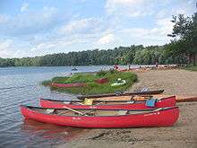 Photo of two red canoes on a sandy lake shore lined with trees. There are other canoes, kayaks and boats in the background, with a blue sky above.