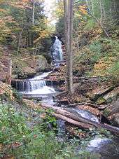 Photo of a tall cascade with a hiking trail visible to the left as it ascends the hillside beside the falls. A long fallen tree trunk crosses the stream at the foot of the falls. The trees are in various stages of autumn color and conifer saplings line the bank.