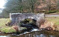 Stone bridge over fast flowing water surrounded by vegetation